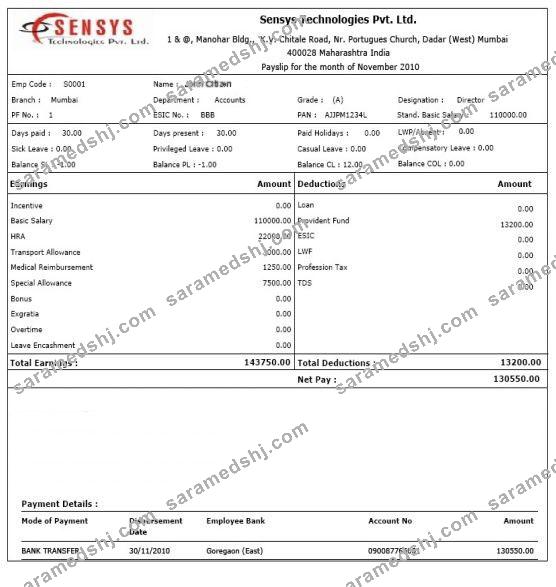 INDIA SENSYS technologies Pvt. Ltd. payslip in Word and PDF formats